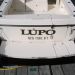 lupo.jpg